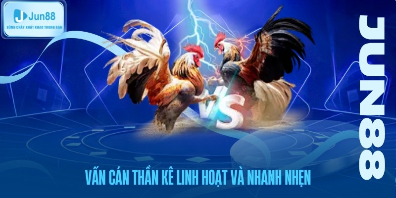 Vấn Cán – Linh Hoạt Và Nhanh Nhẹn